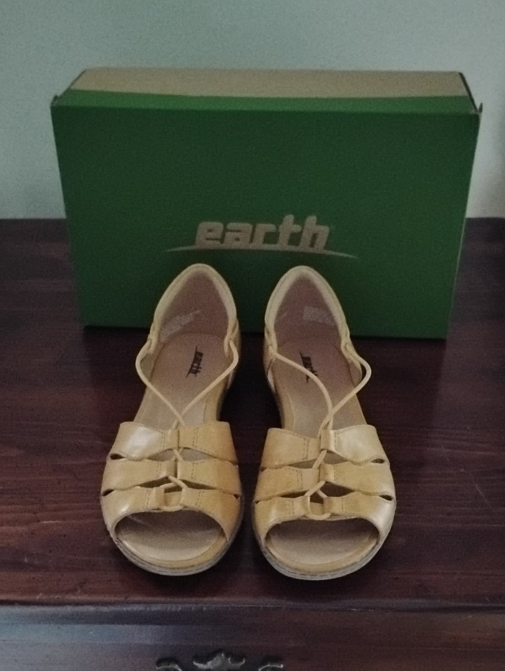 Earth Yellow Amber Leather Women's Open-Toe Strappy Sandals NIB